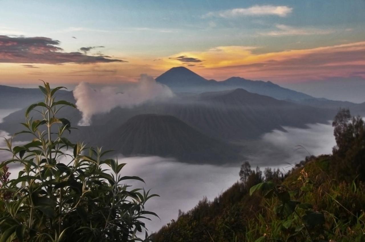Plataran Bromo Hotel Екстериор снимка